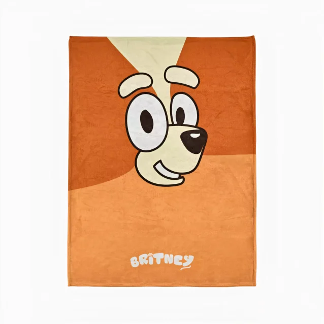 Bluey and Bingo on a soft, cozy blanket