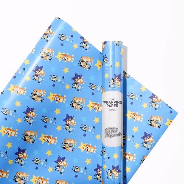 A birthday gift wrapped in Bluey and Bingo themed wrapping paper.