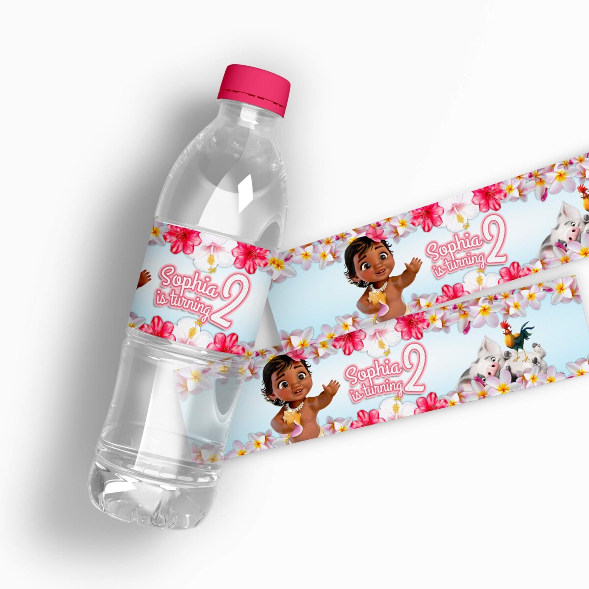Moana Water Bottle Labels