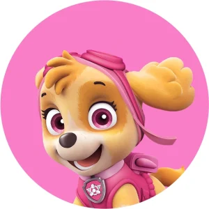 paw-patrol Custom Paw Patrol cartoon themed birthday party favors banners and toddler supplies