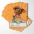 Zuma (Water Pup Orange)