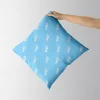 Fade-resistant Bluey & Bingo pillow and pillowcase set with long-lasting colors.