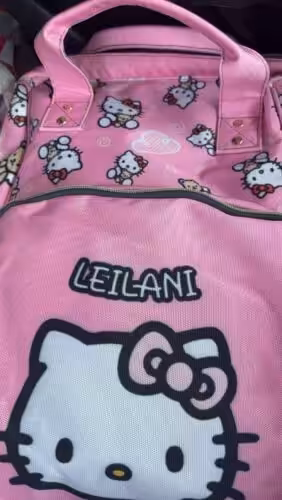 Hello Kitty Diaper Backpack Bag photo review