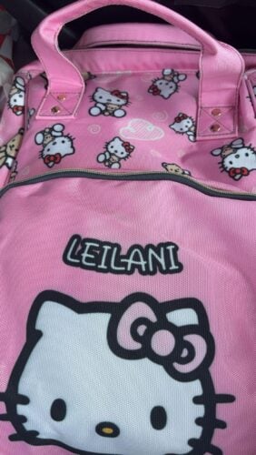 Hello Kitty Diaper Backpack Bag photo review