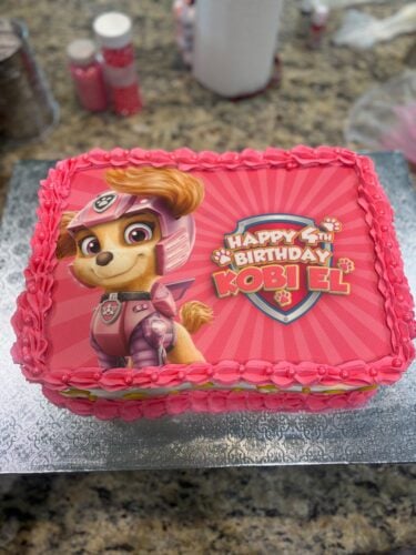 Paw Patrol Skye Cake Topper photo review